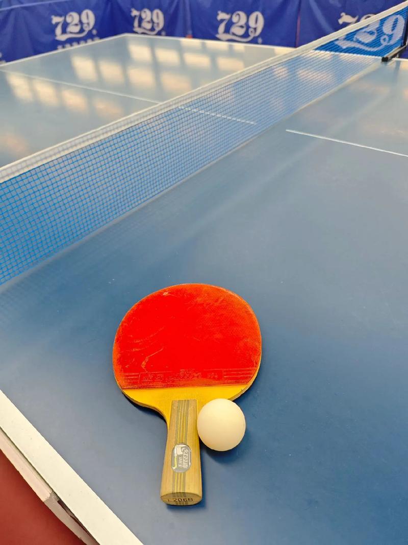尊龙凯时app：乒乓球直板与横板选手打法差异，乒乓球直板与横版